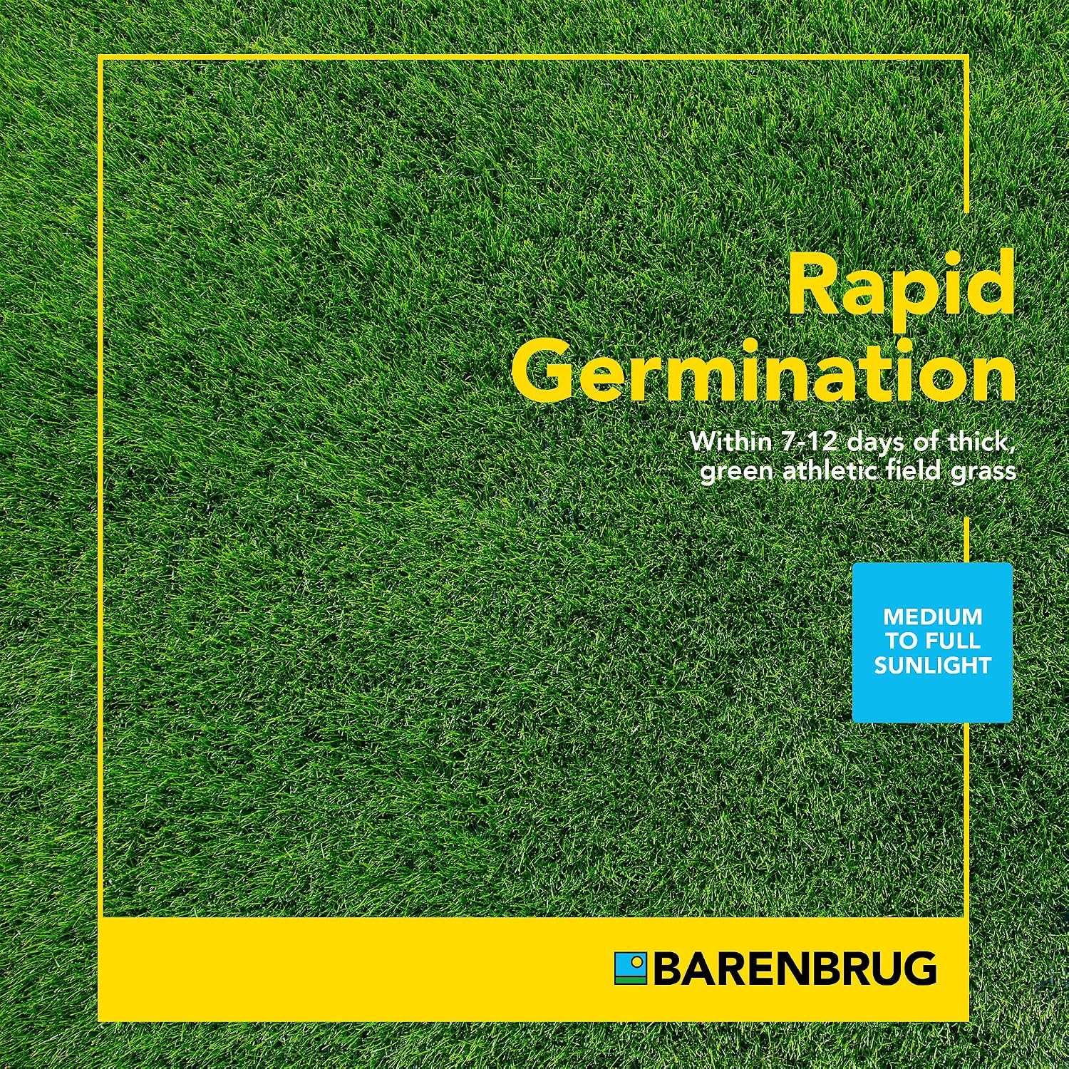Barenbrug 25626 Turf Sense Athletic Field Grass Seed Grows in Areas of Sun and Partial Shade, 25 LB Bag