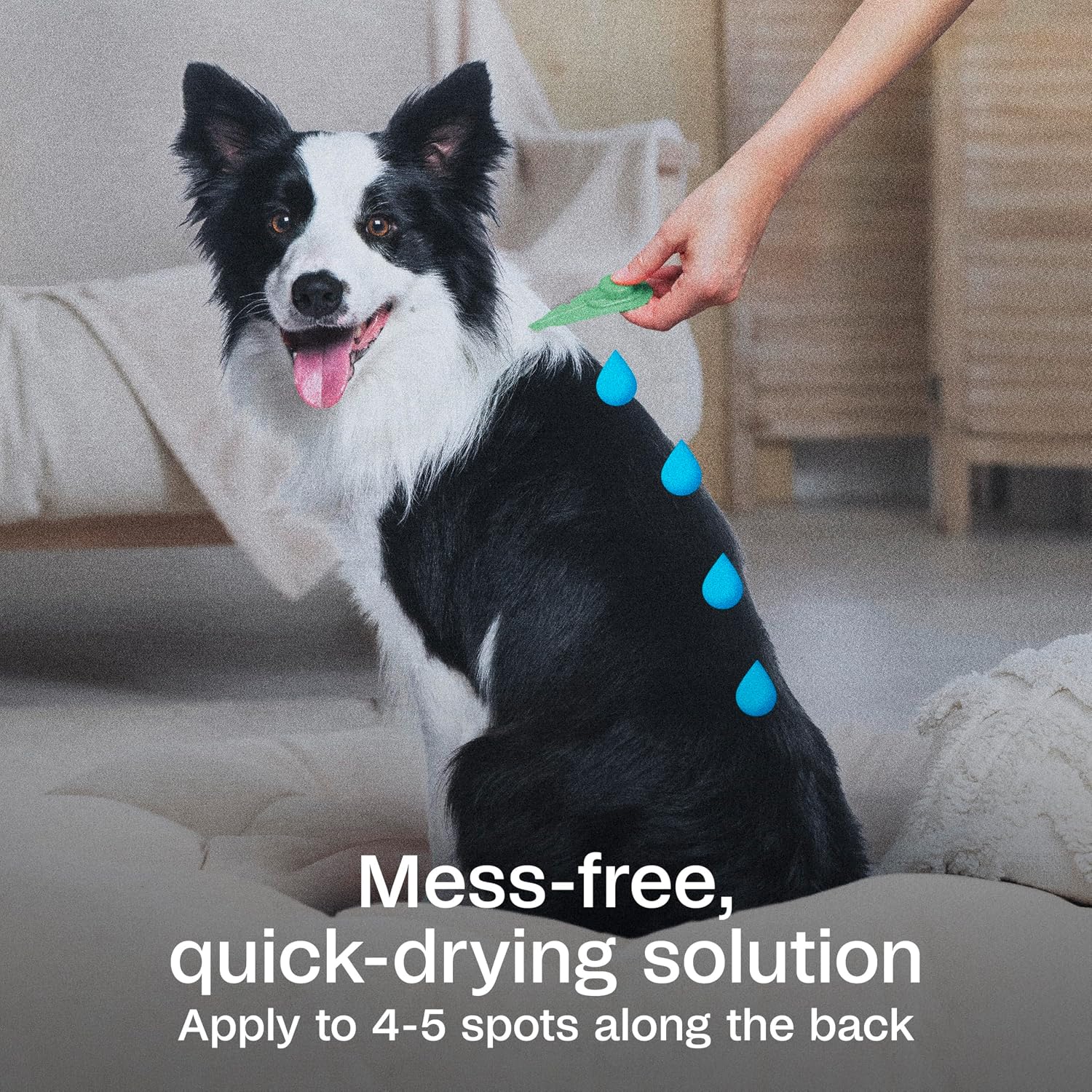 ADAMS Plus Flea & Tick Prevention Spot On for Extra Large Dogs, 3 Pack