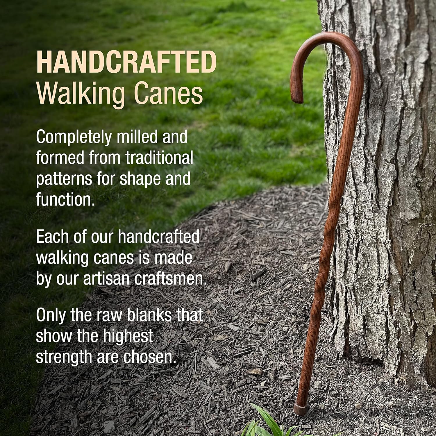 Brazos Handcrafted Wood Walking Cane, Twisted Oak, Crook Style Handle, for Men & Women, Made in The USA, 37"