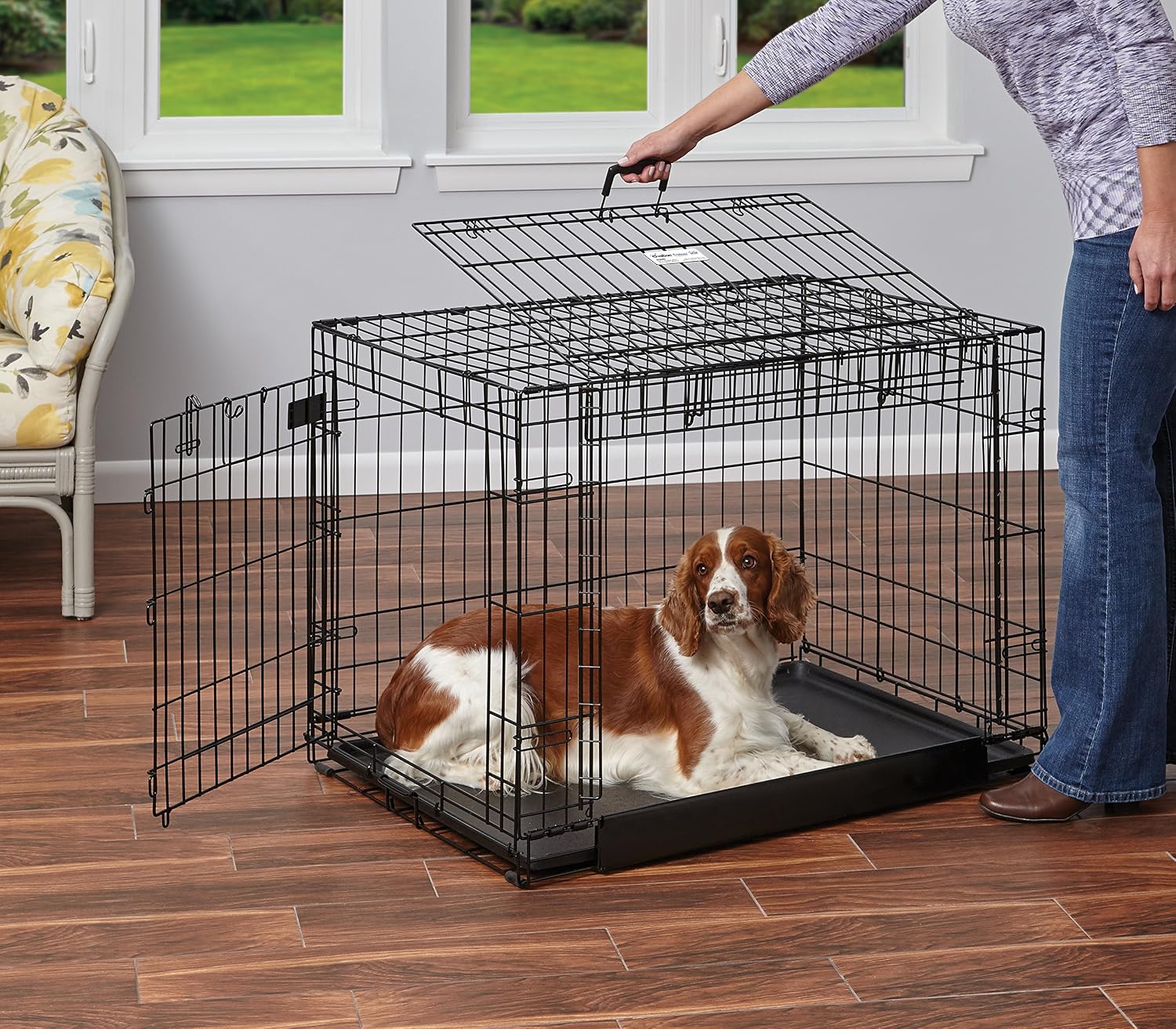 MidWest Homes for Pets Medium Ovation Double Door 30-inch Folding Metal Dog Crate, Front and Up & Away Side Doors, Space-Saving Design