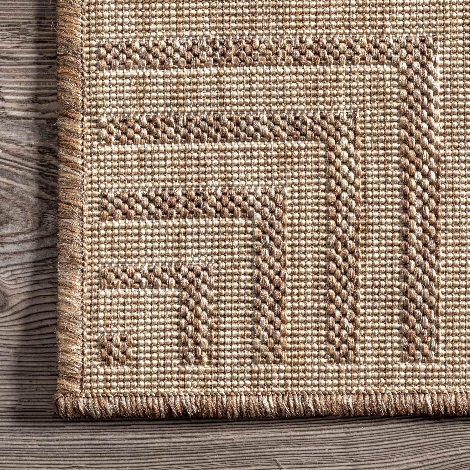nuLOOM Asha Light Brown Bordered Indoor/Outdoor Area Rug, 4' x 5'