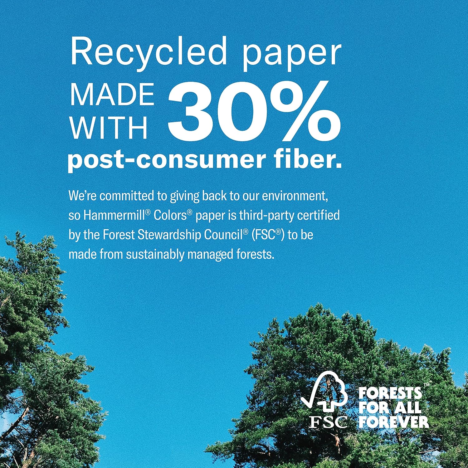 Hammermill Colored Paper, 20 lb Ivory Printer Paper, 8.5 x 11 - Made in the USA, Pastel Paper, 103176R - 1 Ream (500 Sheets)