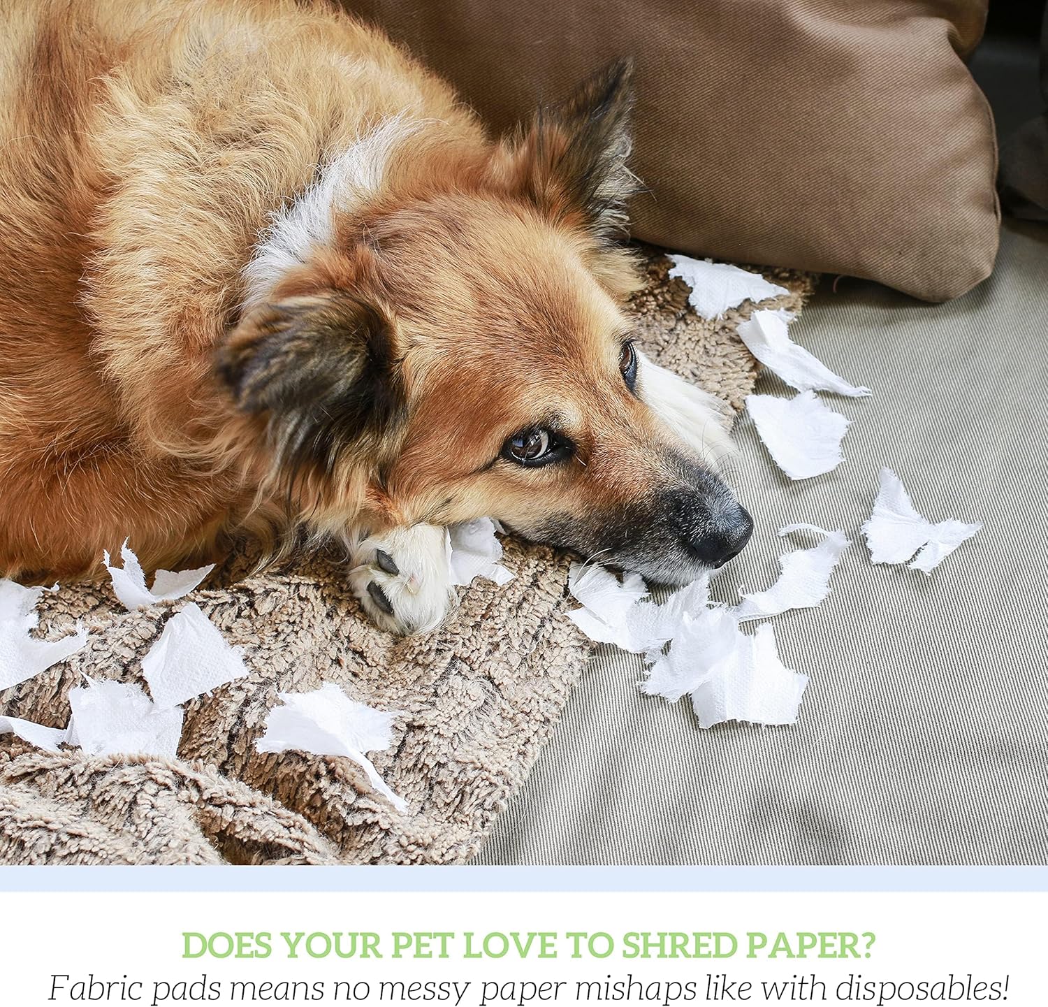 GREEN LIFESTYLE Washable Underpads - Large Pads for use as Incontinence Bed Pads, Reusable Pet Pads, Great for Dogs, Cats, Bunny