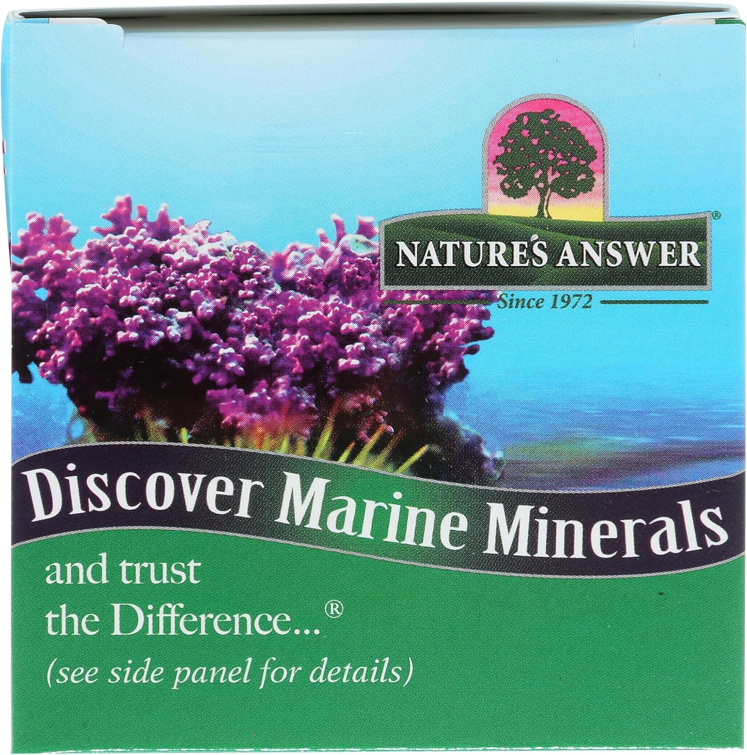 Nature's Answer Marine Based Magnesium, Super Concentrated 500mg | Plant Based | Red Algae & Seawater Derived | Alcohol-Free & Gluten-Free | Vegetarian Capsules 90ct