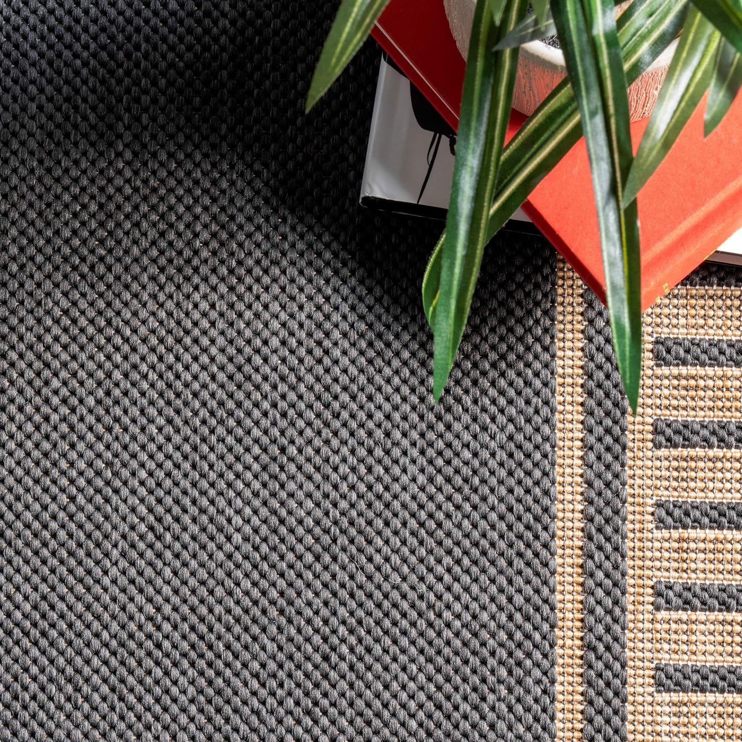 nuLOOM Asha Light Brown Bordered Indoor/Outdoor Area Rug, 4' x 5'