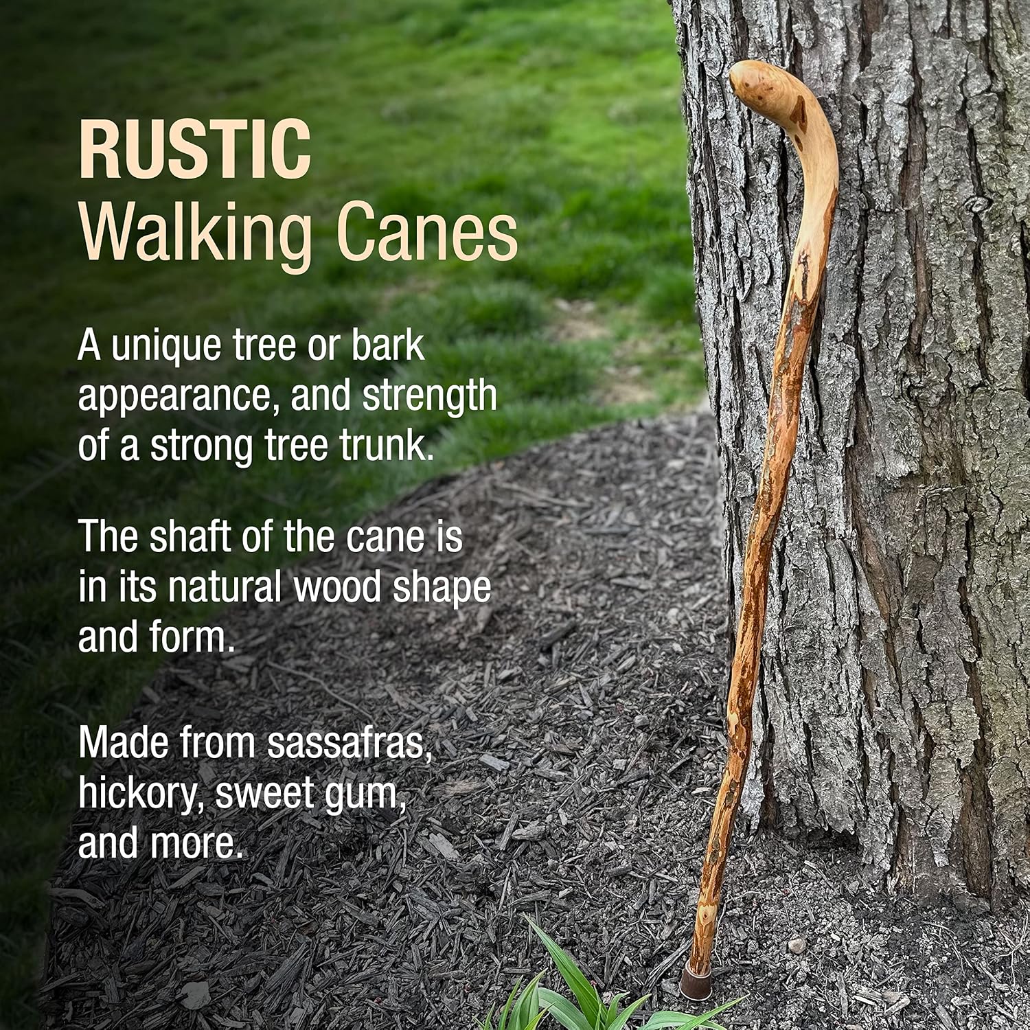 Brazos Wooden Walking Canes for Men and Women, Stable Walking Sticks for Seniors, Made in The USA