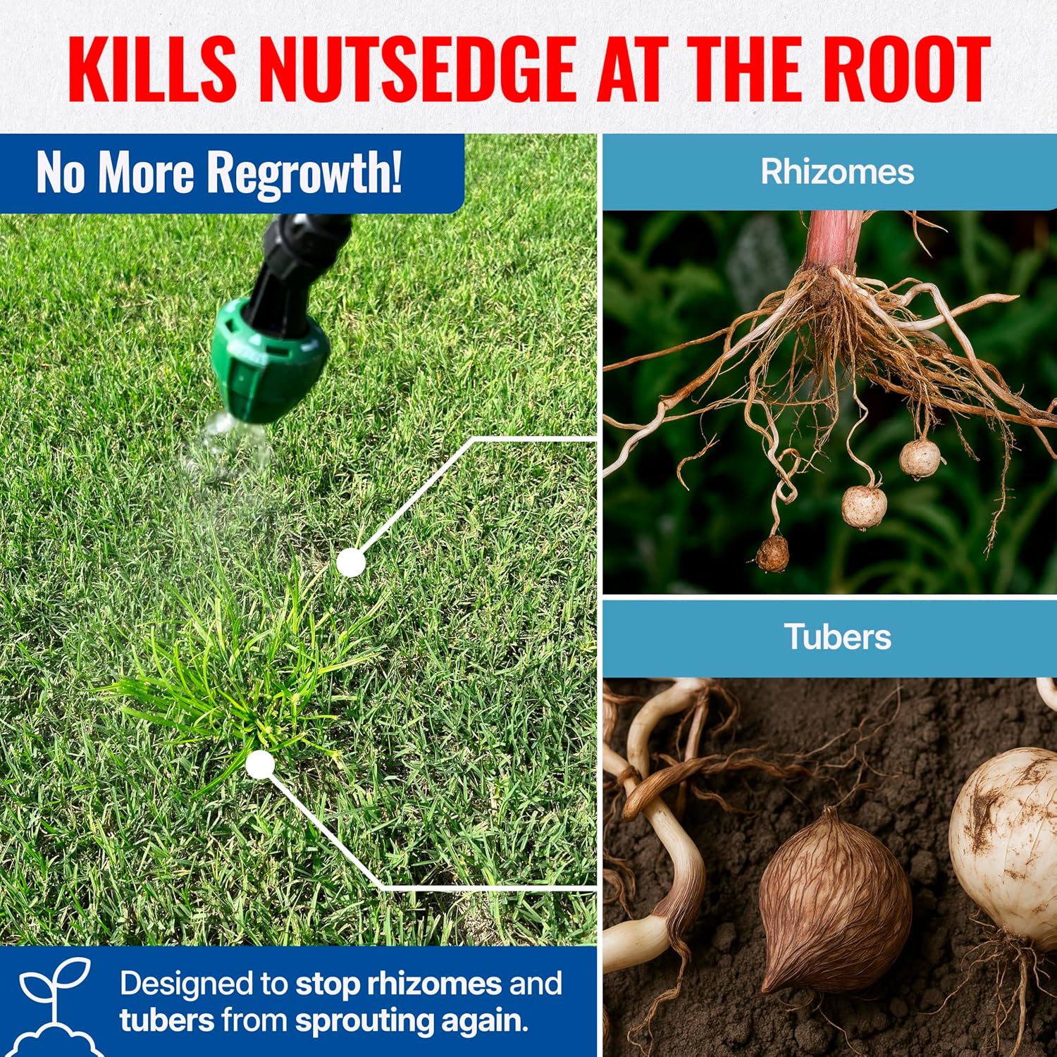 Sedgehammer 51516 Nutsedge Herbicide | Kills Yellow and Purple Nutsedge, Green Kyllinga, Selective Weed Killer for Lawns, Gardens and Landscapes