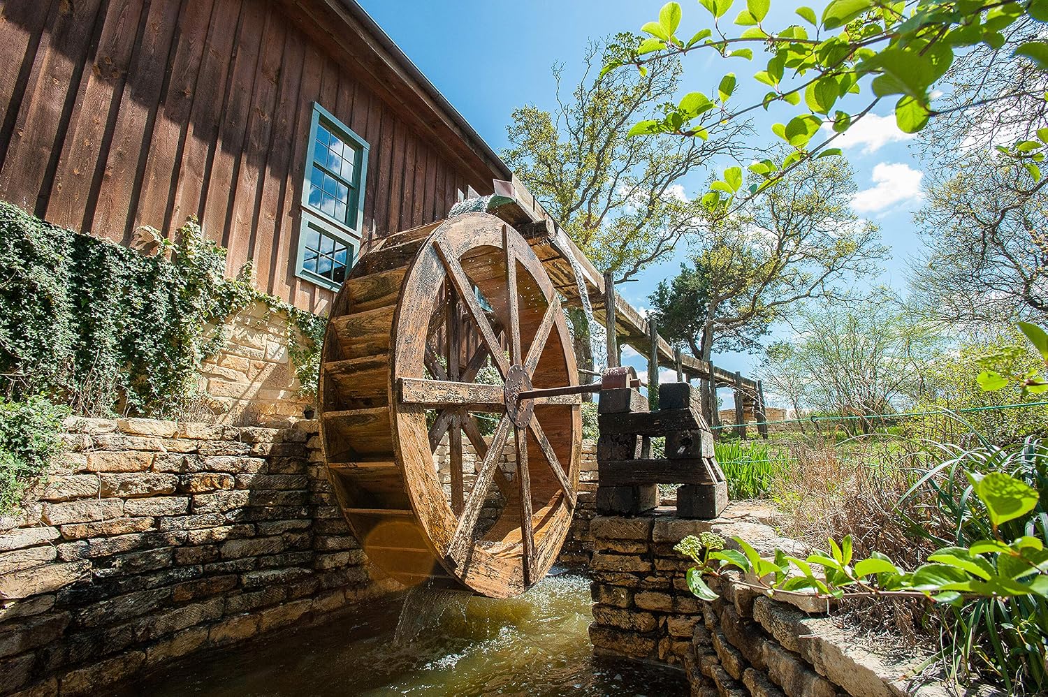 Homestead Gristmill — Stone-ground Sifted White Wheat Flour (5 lb), Artisanally Milled from Hard White Wheat Berries