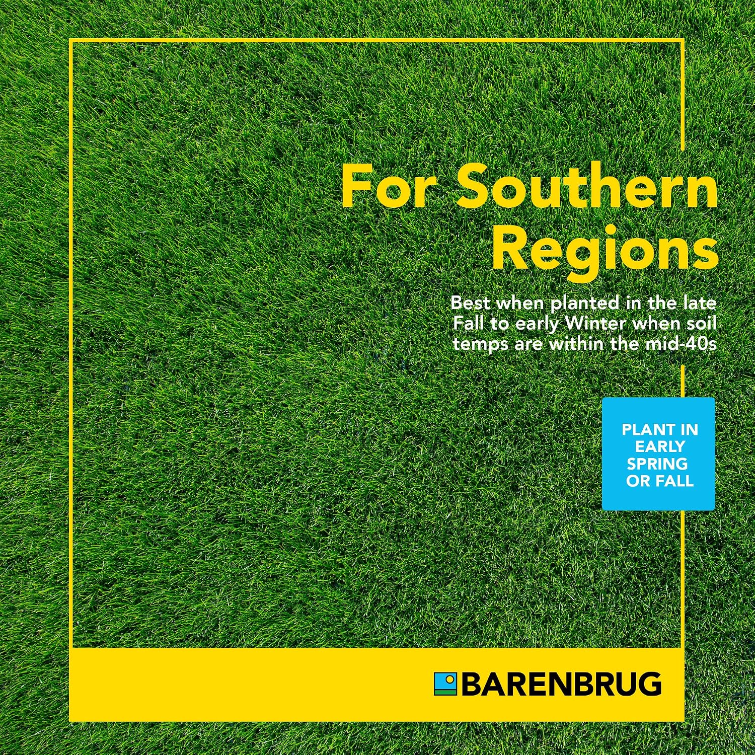 Barenbrug Wonderlawn Winter Grass Seed Mix for Lawn Care and Landscaping, 5 lbs. Bag