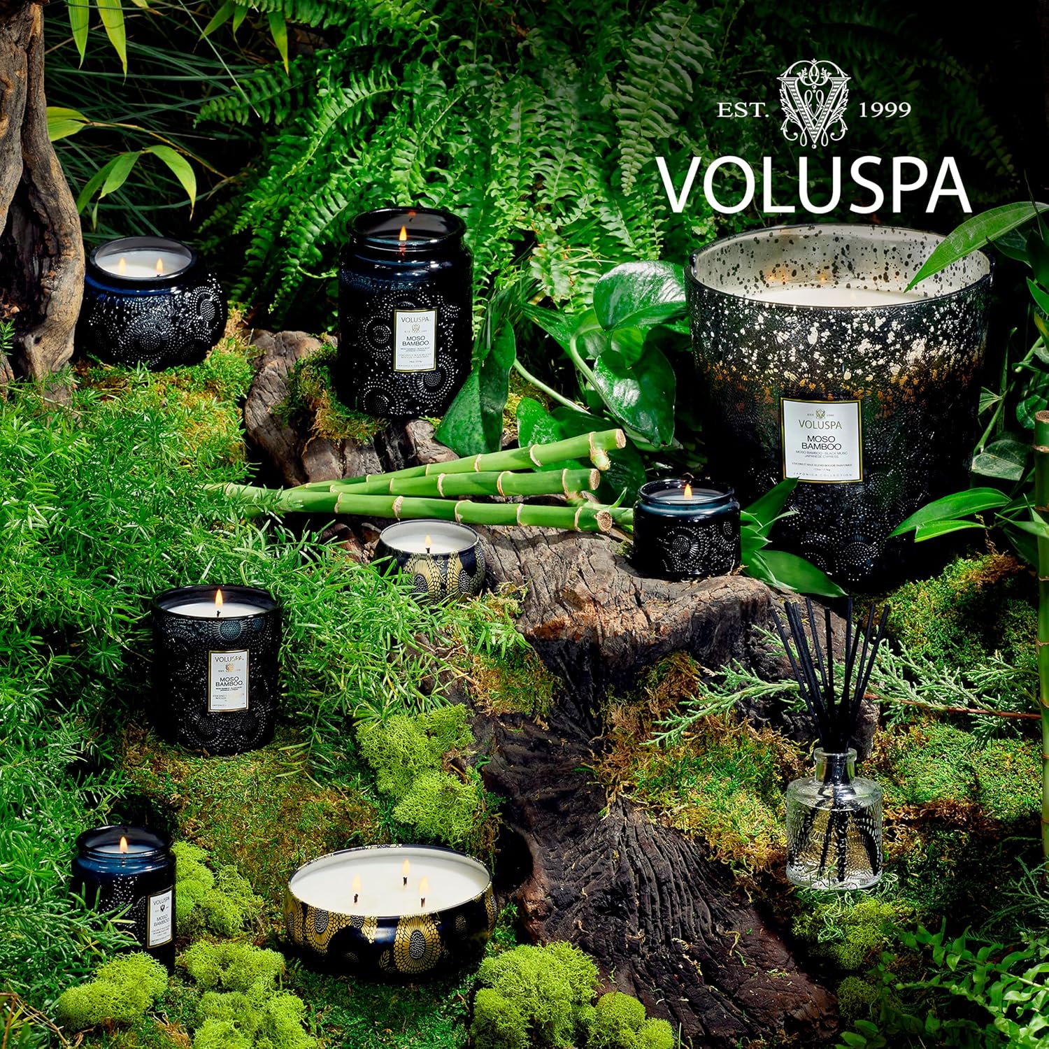 Voluspa Baltic Amber, Small Candle Jar, 5.5 oz, 50 Hour Burn Time, Coconut Wax for Clean Burning, Handcrafted in the USA