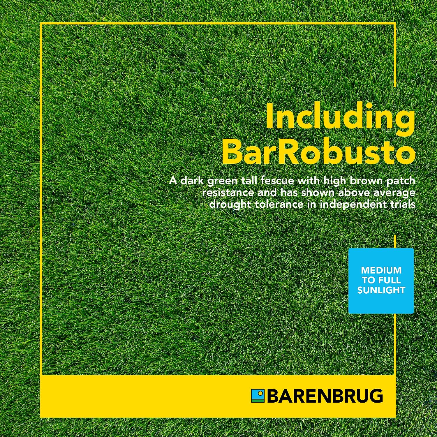 Barenbrug Turf Saver RTF Grass Seed with Yellow Jacket Seed Coating - Less Water Self-Repairing Tall Fescue Turf for Use on Sports Field, Golf Courses