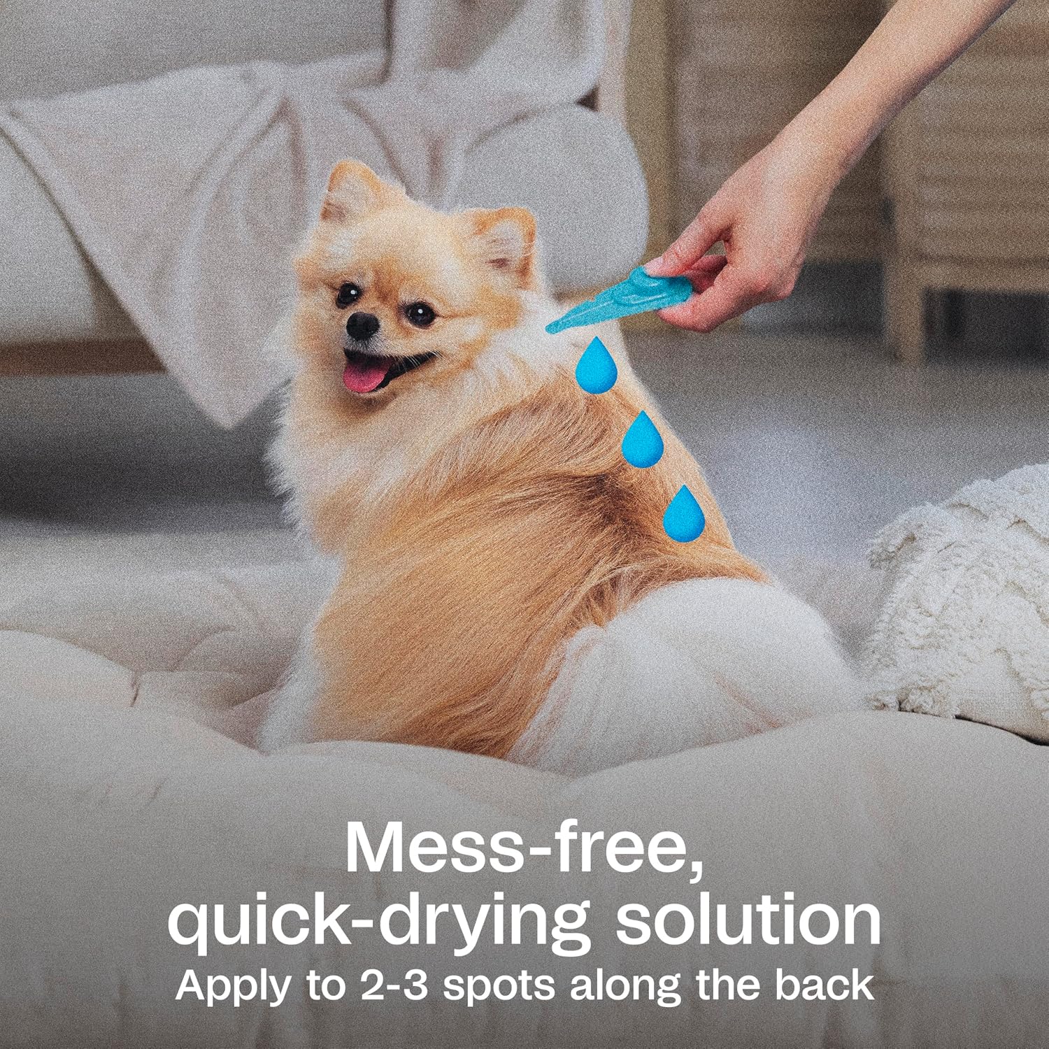 ADAMS Plus Flea & Tick Prevention Spot On for Extra Large Dogs, 3 Pack