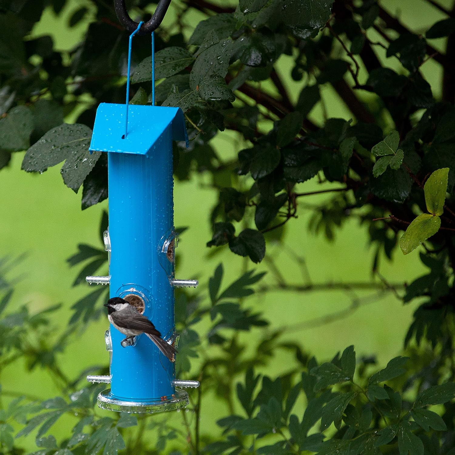 Perky-Pet Blue Metal Tube Wild Bird Feeder - 1 lb Capacity for Wild Bird Seed - Durable Construction - 391