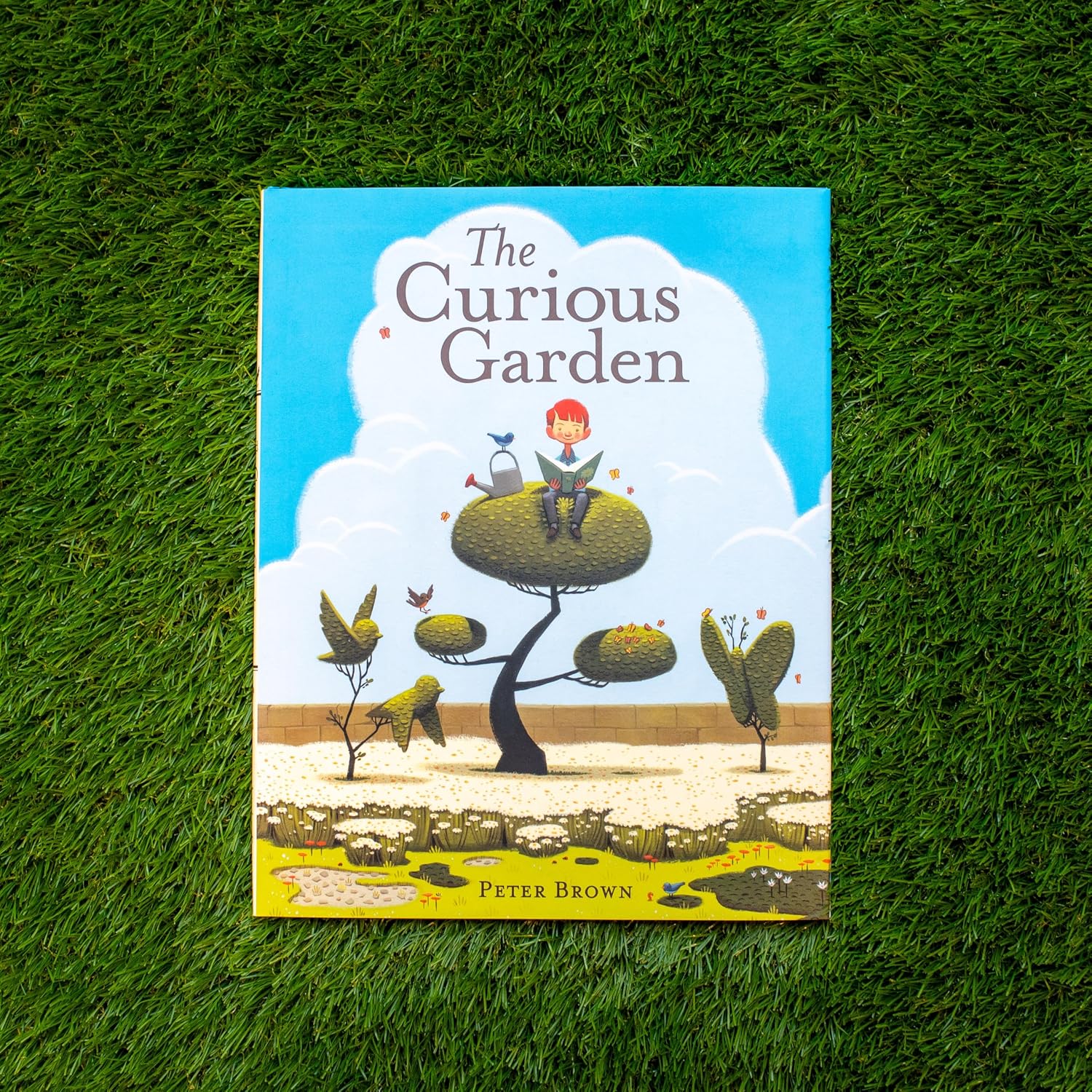 The Curious Garden