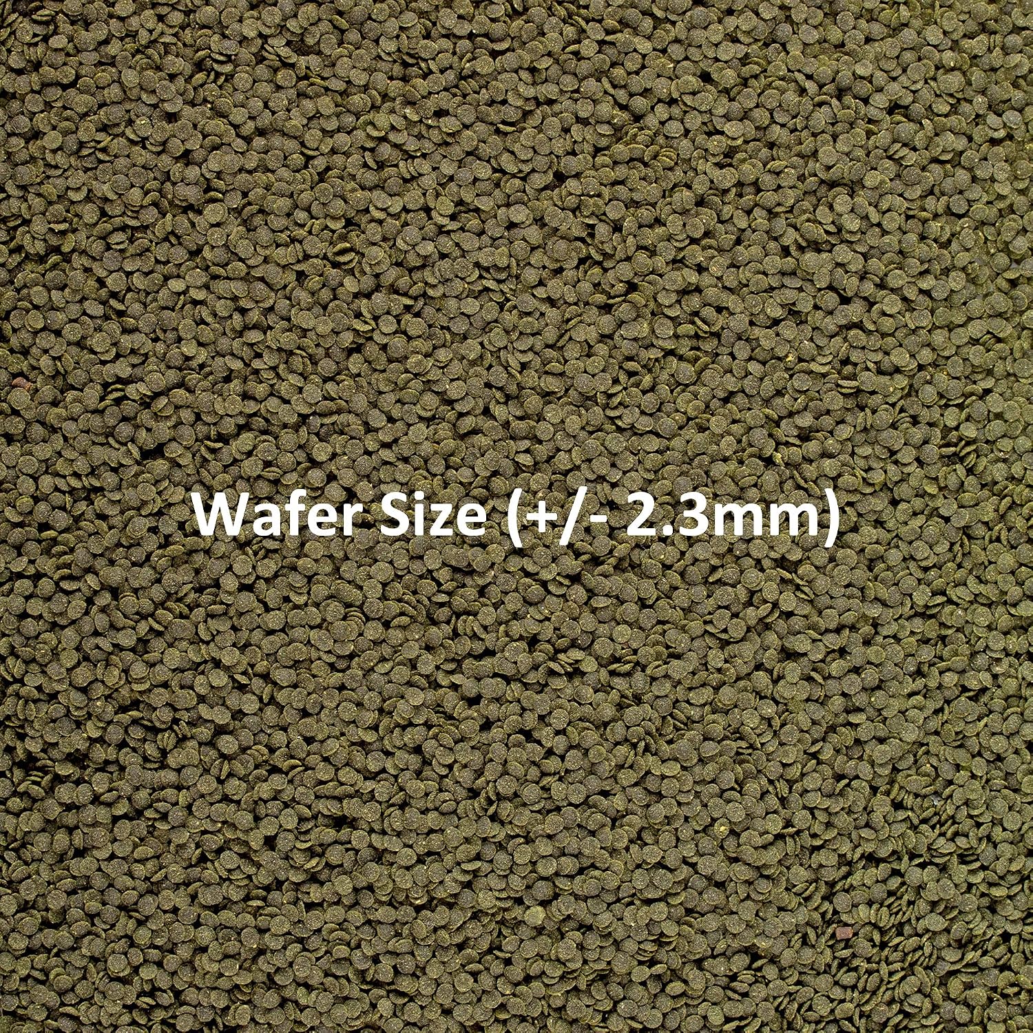 Ocean Nutrition Shrimp Wafers - Sinking Shrimp Food 0.53 oz (15 g) | Freshwater Shrimp Tank (Neocaridina, Caridina, Ghost Shrimp Live, Amano