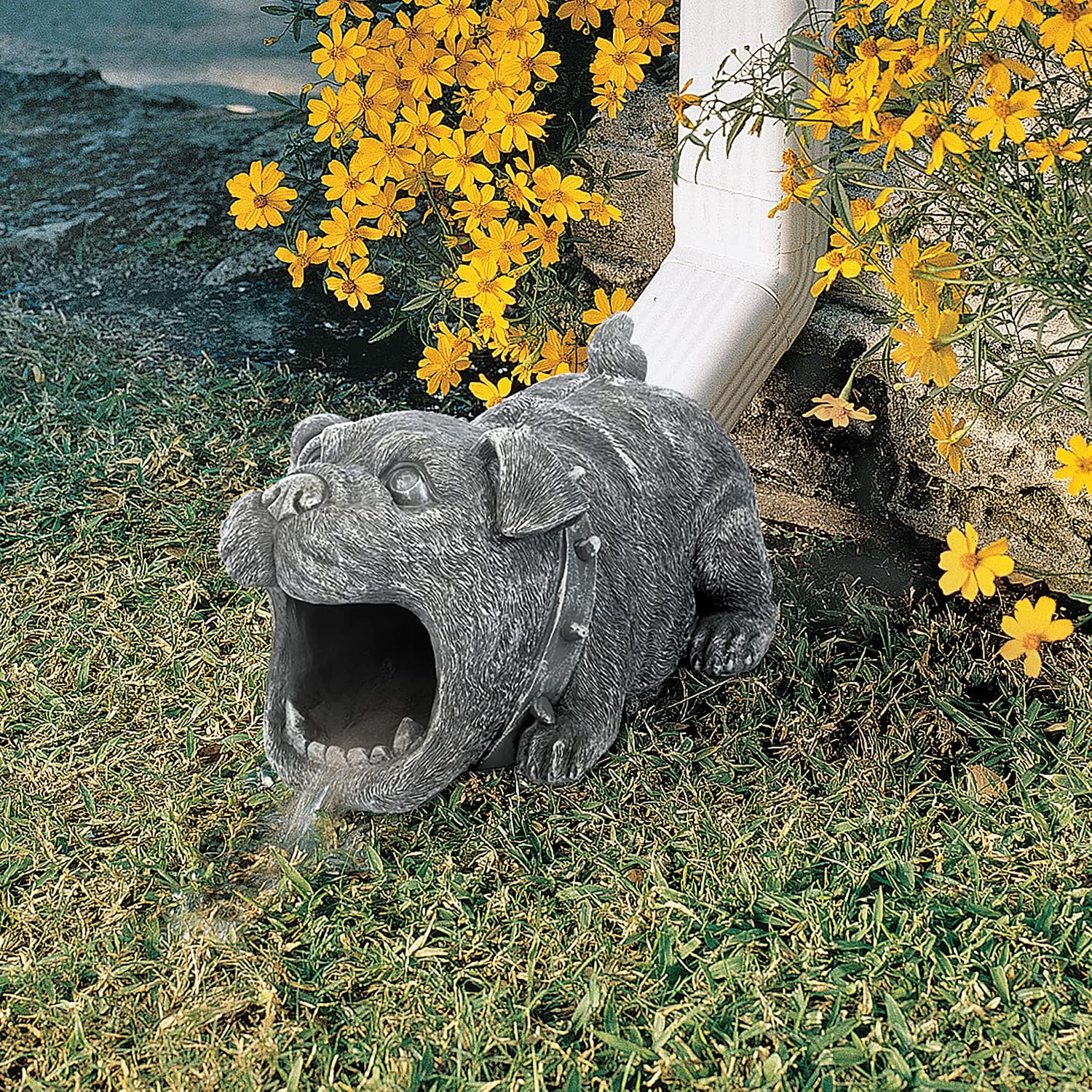 RAIDER THE RACCOON GUTTER GUARDIAN