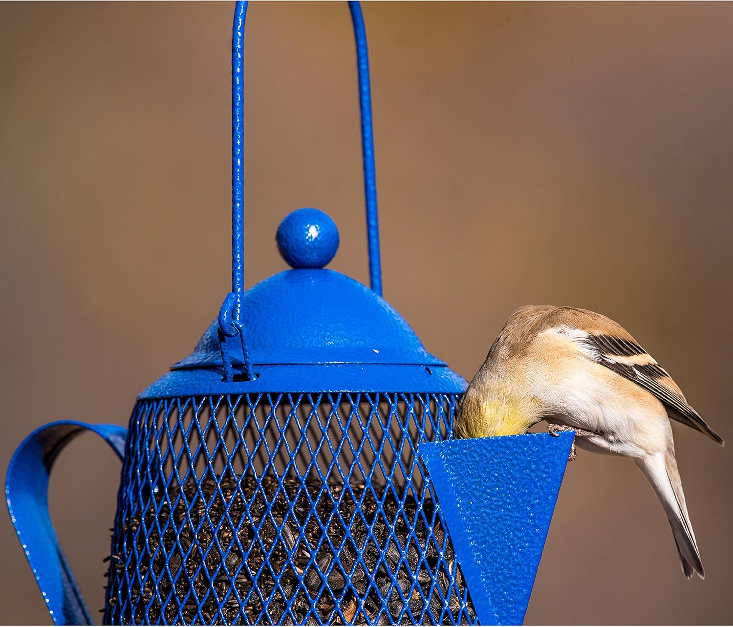 Perky-Pet Dual Mesh Wild Bird Seed Feeder - Holds up to 2.85 lb Wild Bird Seed - Dual Compartment for Seeds and Thistle - TSS00349