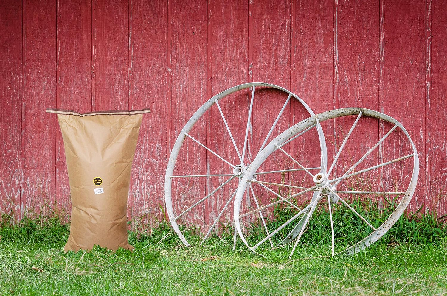 Amish Country Popcorn | 2 lb Bag | Baby White Popcorn Kernels | Small and Tender | Old Fashioned, Non-GMO and Gluten Free (Baby White - 2 lb Bag)