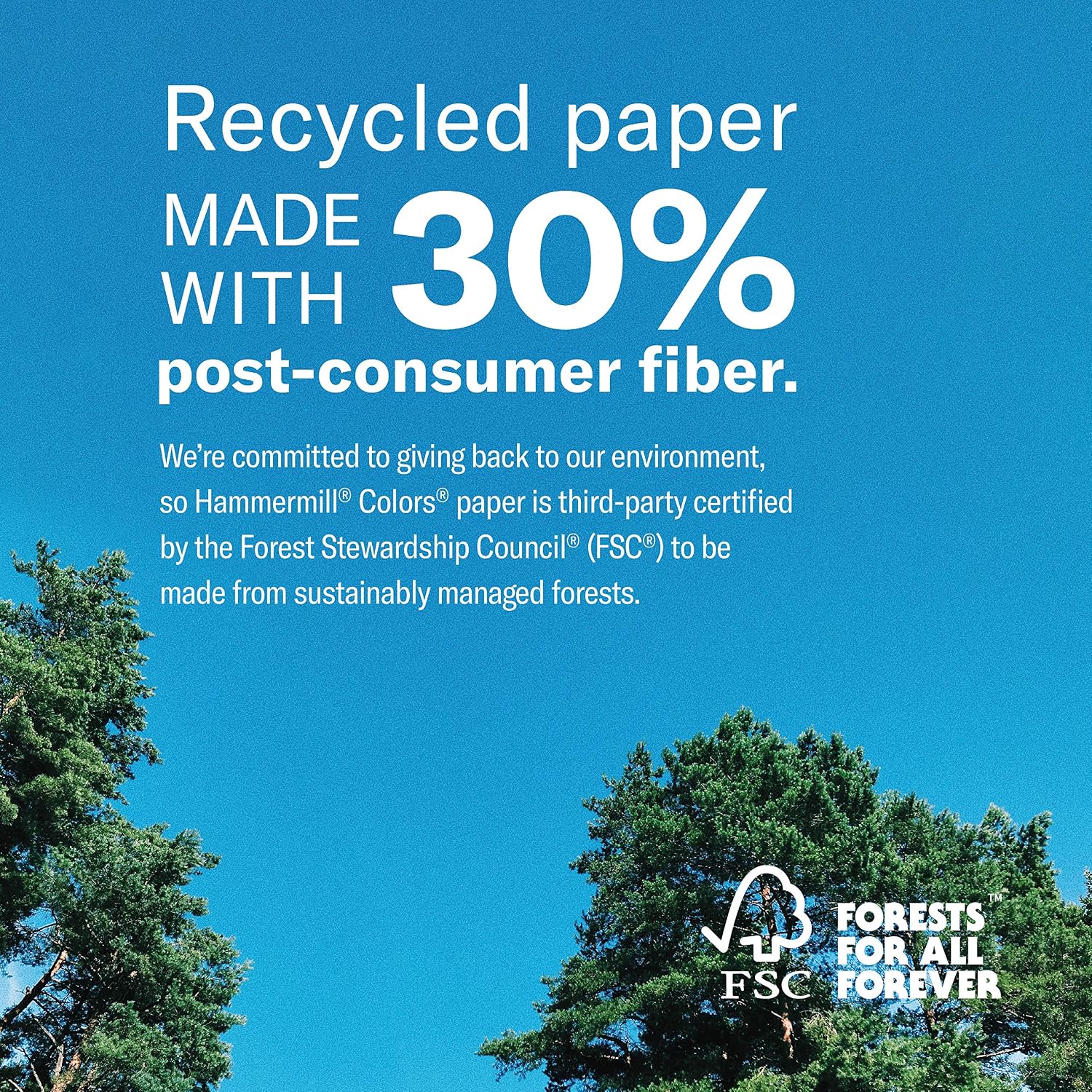 Hammermill Colored Paper, 20 lb Blue Printer Paper, 8.5 x 11 - Made in the USA, Pastel Paper, 103309R - 1 Ream (500 Sheets)
