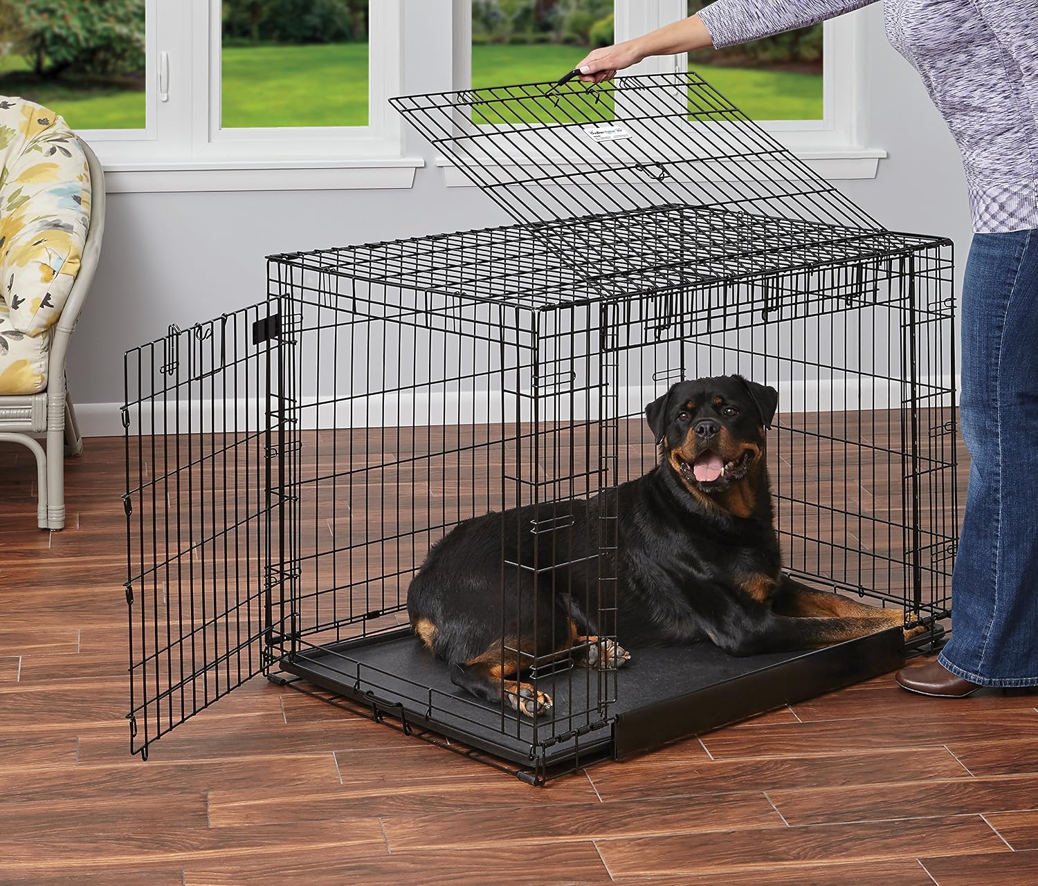 MidWest Homes for Pets Medium Ovation Double Door 30-inch Folding Metal Dog Crate, Front and Up & Away Side Doors, Space-Saving Design