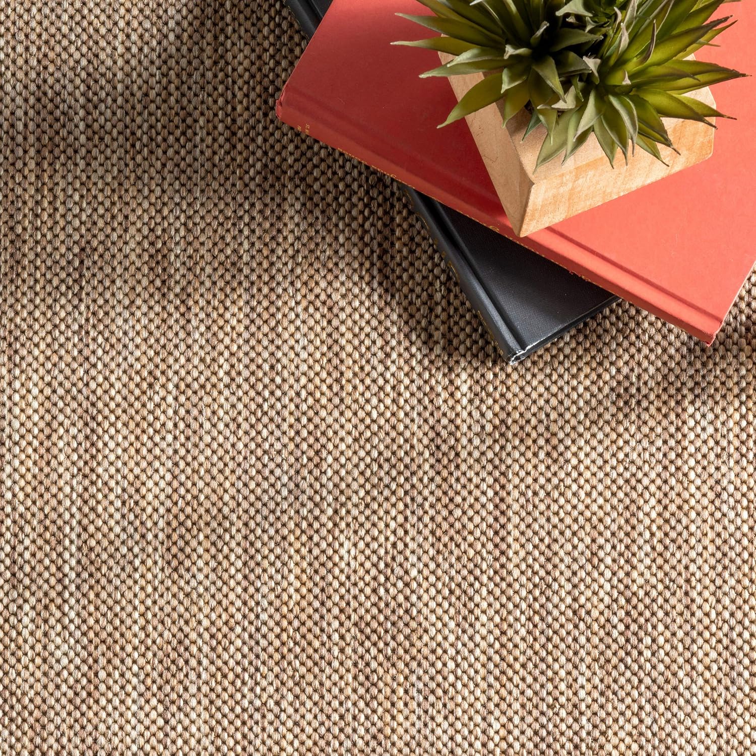 nuLOOM Asha Light Brown Bordered Indoor/Outdoor Area Rug, 4' x 5'
