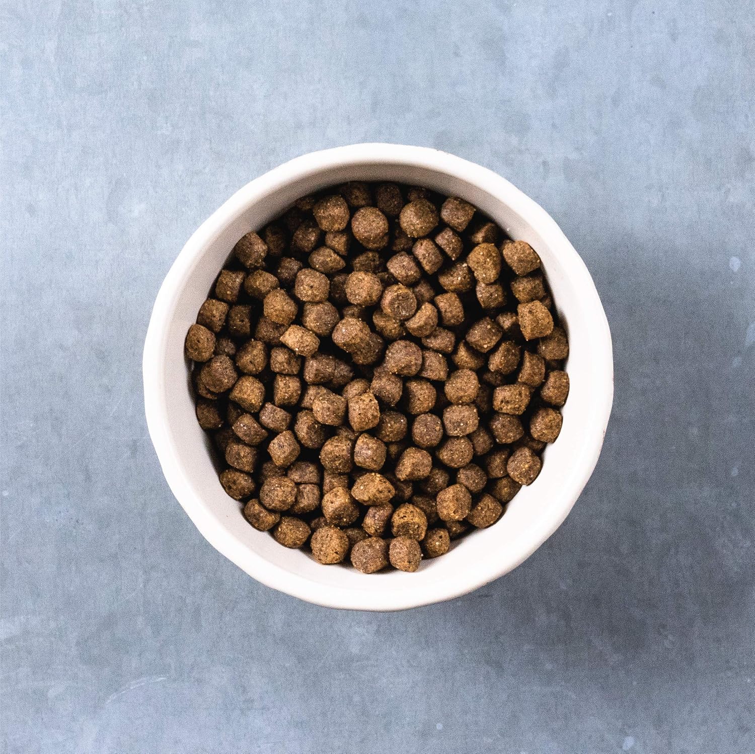 Evolve Grain Free Deboned Duck, Sweet Potato & Venison Recipe Dry Dog Food, 3.5 lb.