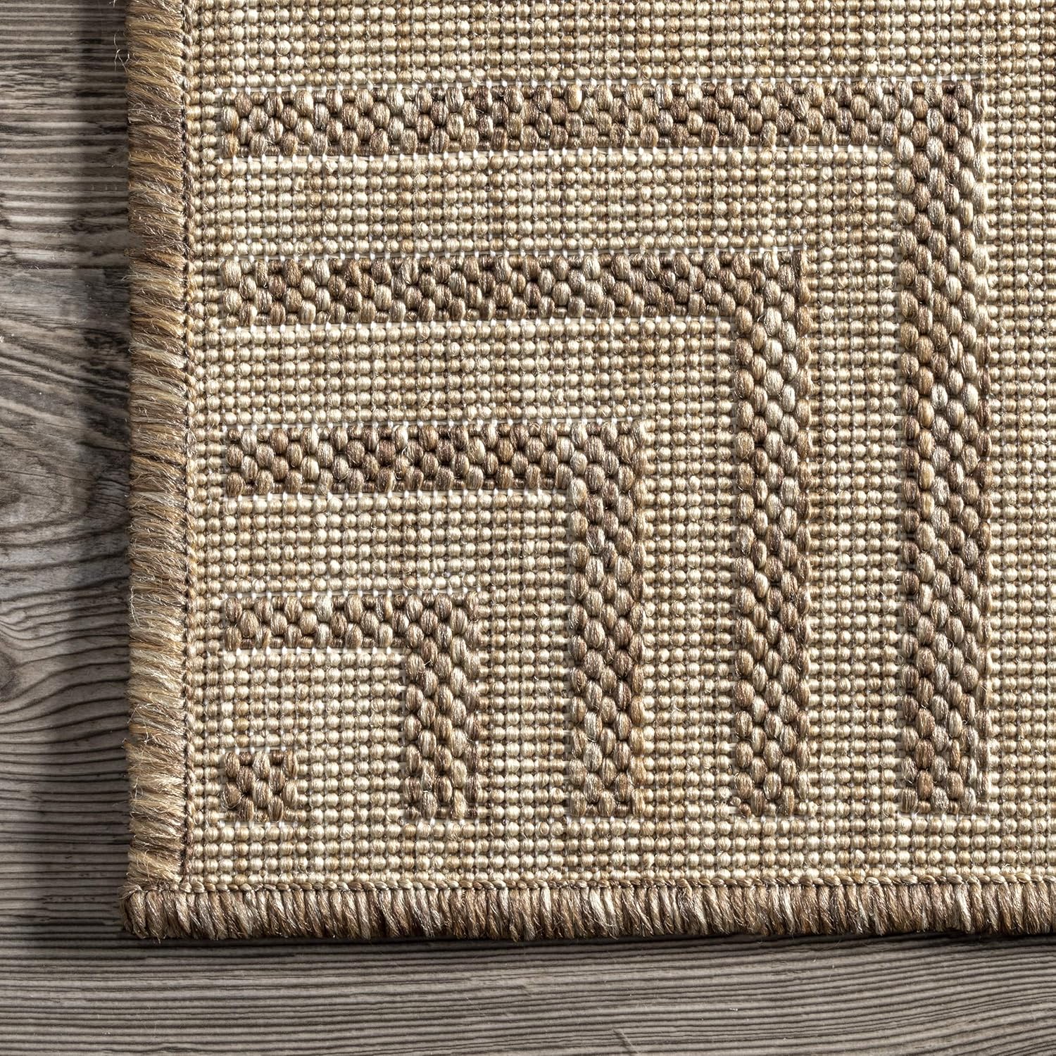 nuLOOM Asha Light Brown Bordered Indoor/Outdoor Area Rug, 4' x 5'