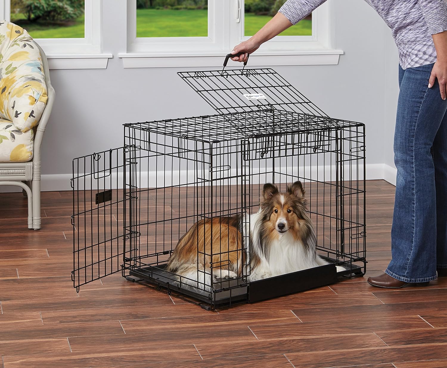 MidWest Homes for Pets Medium Ovation Double Door 30-inch Folding Metal Dog Crate, Front and Up & Away Side Doors, Space-Saving Design