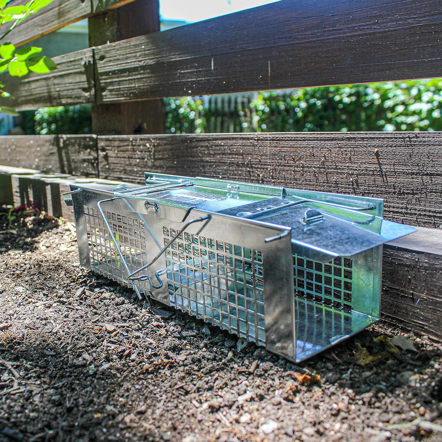 Havahart X-Small Animal Trap, 2-Door Humane Trap for Mice, Voles, Shrews | Humane Catch & Release Trap for Moles & Small Rodents