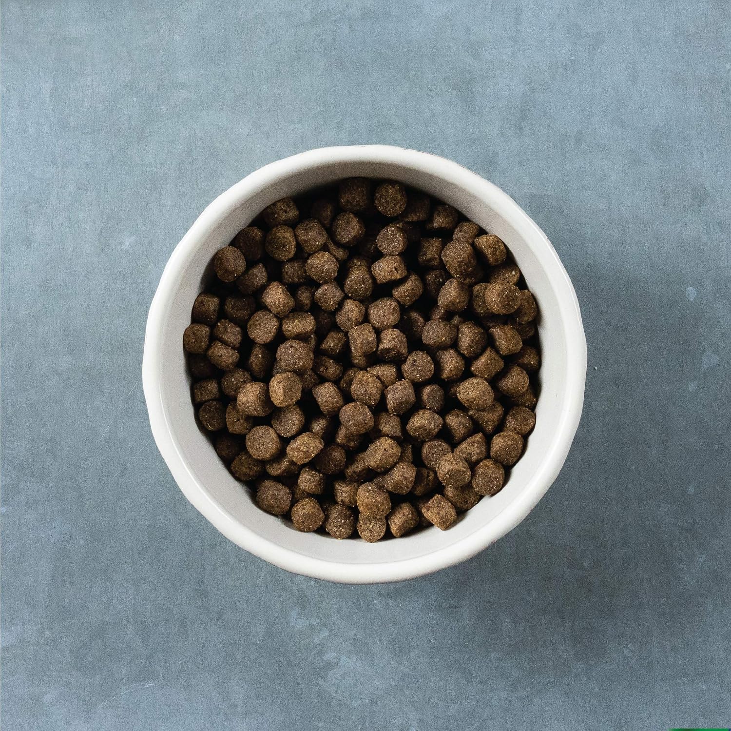Evolve Grain Free Deboned Duck, Sweet Potato & Venison Recipe Dry Dog Food, 3.5 lb.