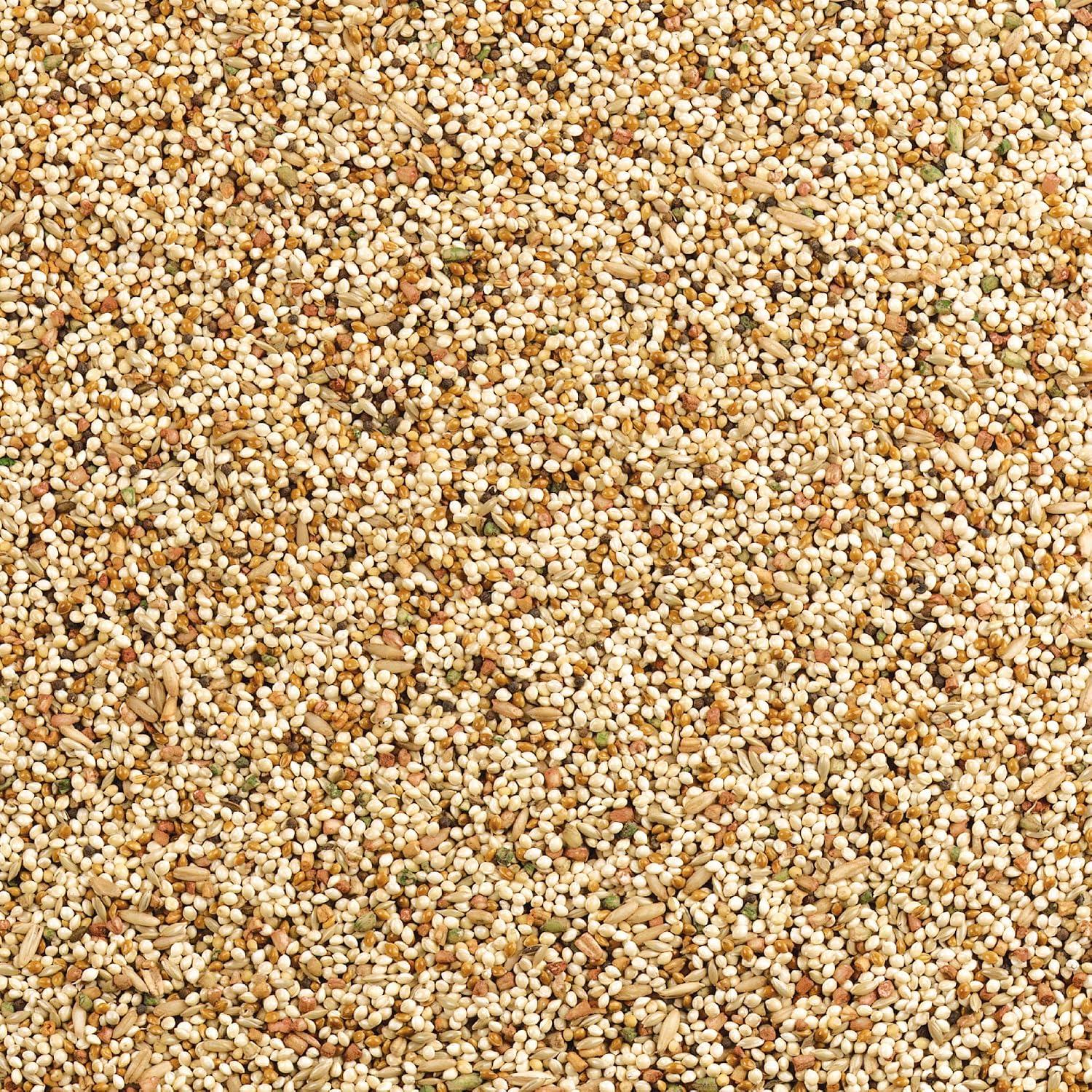Wild Harvest Daily Blend Nutrition Diet Parakeet, Canary And Finch, Bird Food, 5 Pounds