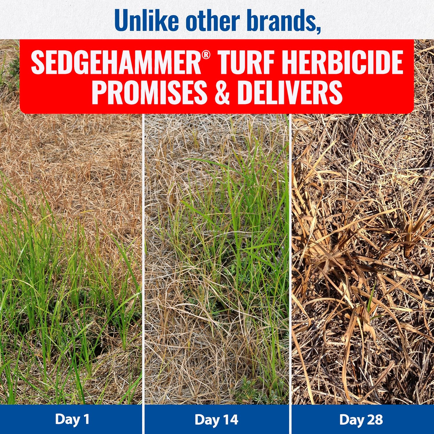 Sedgehammer 51516 Nutsedge Herbicide | Kills Yellow and Purple Nutsedge, Green Kyllinga, Selective Weed Killer for Lawns, Gardens and Landscapes