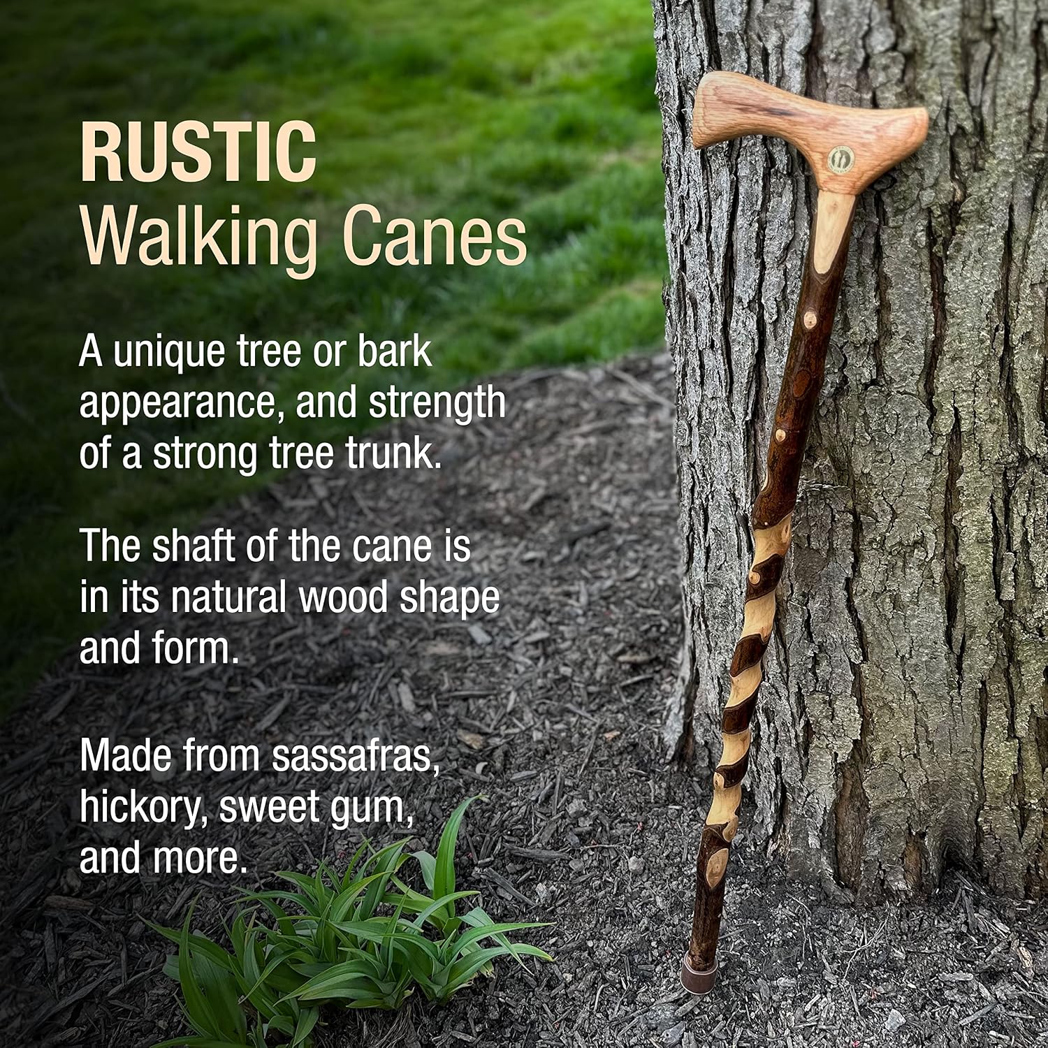 Brazos Wooden Walking Canes for Men and Women, Stable Walking Sticks for Seniors, Made in The USA