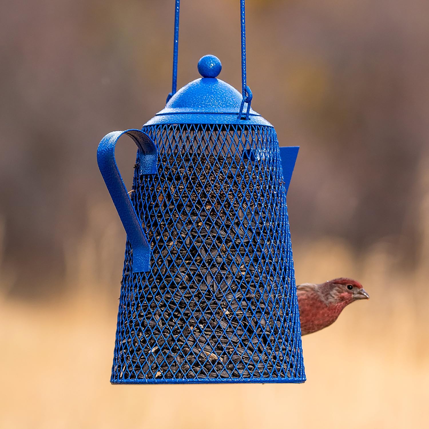 Perky-Pet Dual Mesh Wild Bird Seed Feeder - Holds up to 2.85 lb Wild Bird Seed - Dual Compartment for Seeds and Thistle - TSS00349