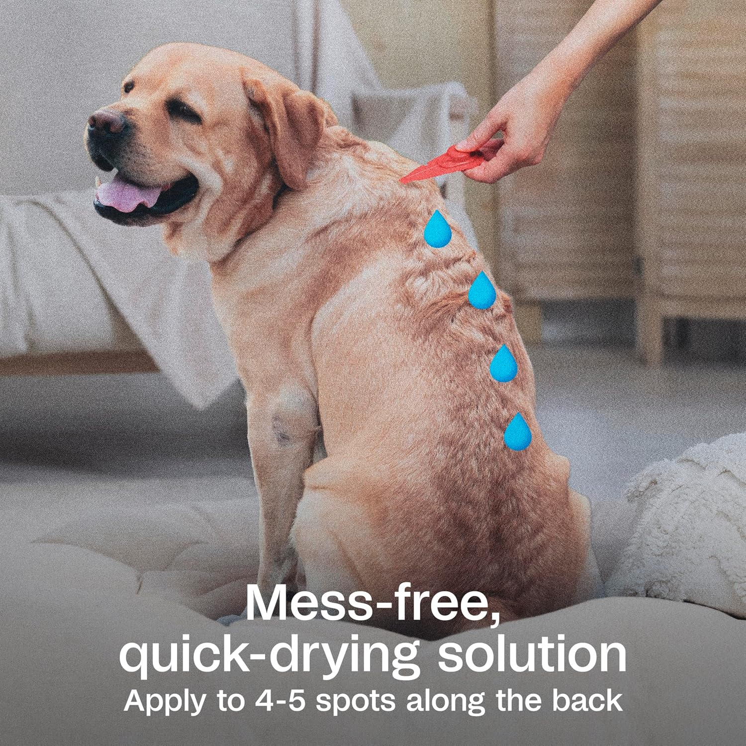 ADAMS Plus Flea & Tick Prevention Spot On for Extra Large Dogs, 3 Pack