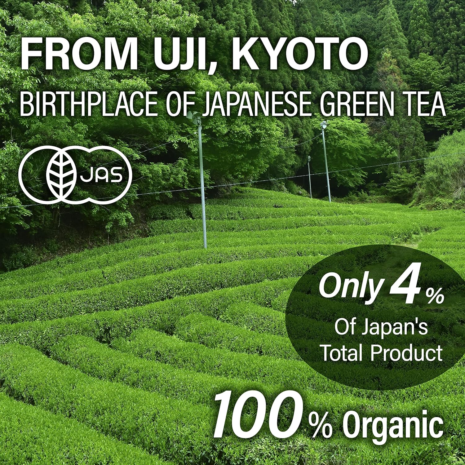 YAMASAN KYOTO UJI Japanese Organic Sencha Green Tea Loose Leaf 2.82oz | Premium Japanese Loose Tea Leaves from Japan, A Fresh ＆ Refreshing Taste, Umami ＆ Natural Sweetness, Sugar Free, 80g