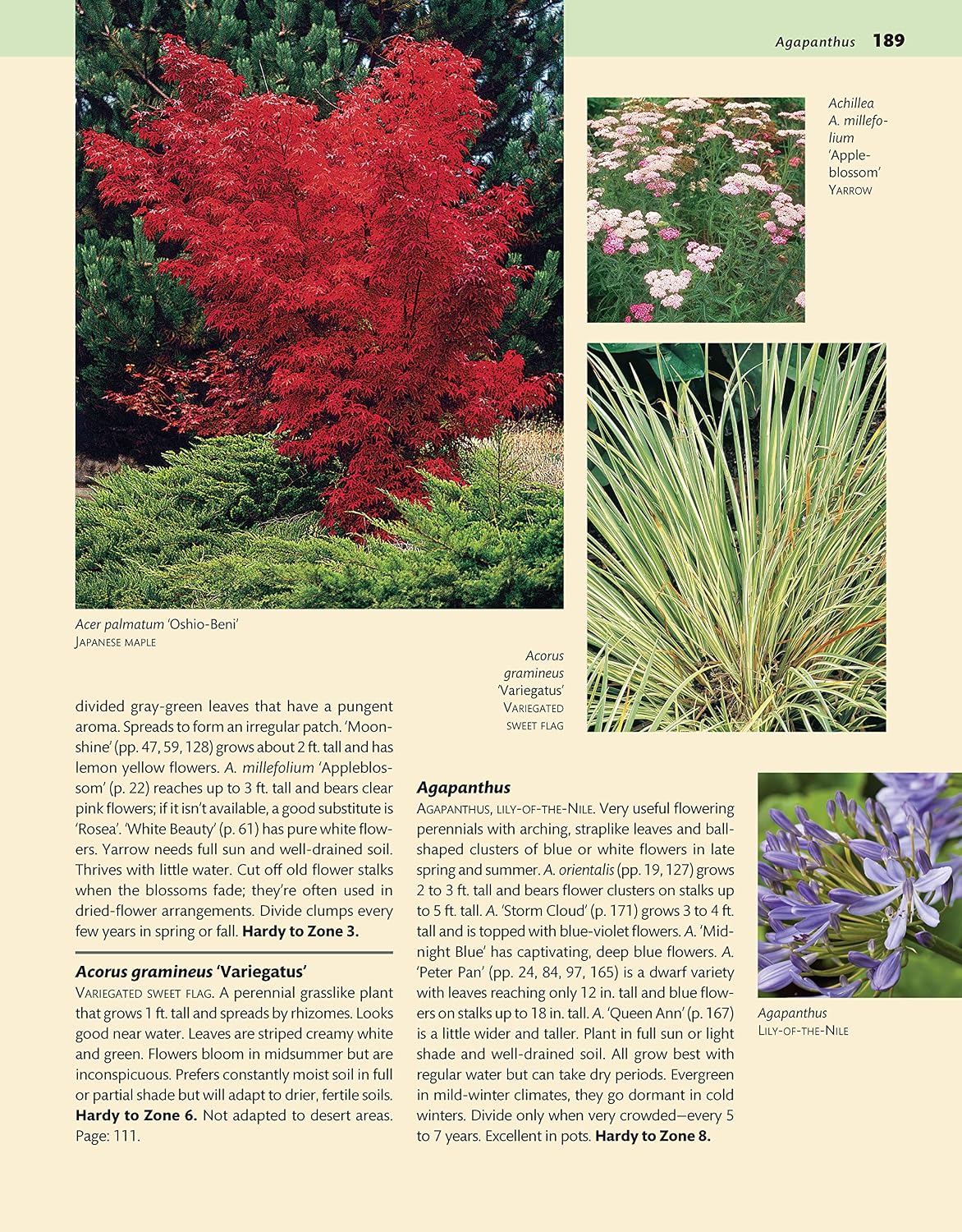 Western Home Landscaping: 42 Landscape Designs, 300+ Plants & Flowers Best Suited to the West (Creative Homeowner) Garden & Landscape Ideas for AZ, CA