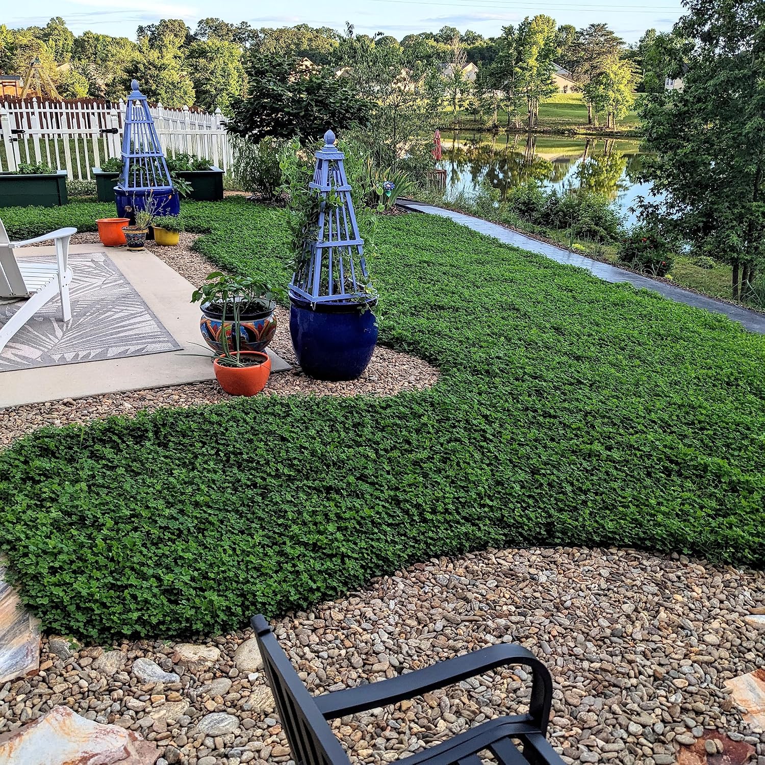 Outsidepride Perennial White MiniClover Seed - 1/4 lb. Dwarf, Small-Leaved, Drought & Wear-Tolerant Micro Clover Seeds for Lawn, Ideal Low-Maintenance & Easy to Grow Ground Cover Seeds for Home Yard