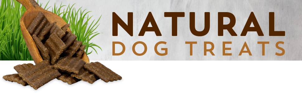Evolve Grain Free Jerky Bites