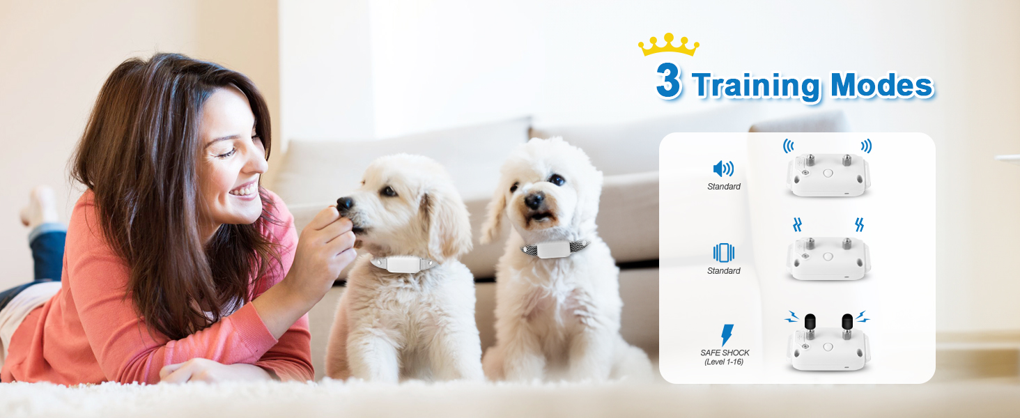 3 Training Modes