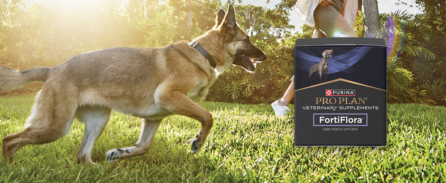 FortiFlora package and dog