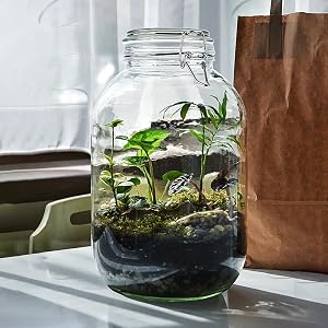 jars