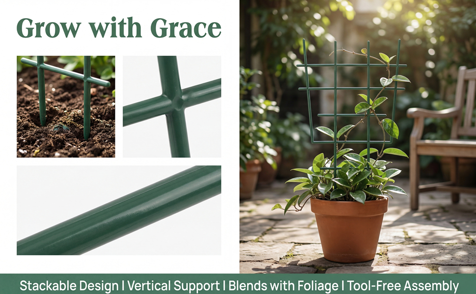 small plant trellis outdoor