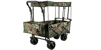 beach wagon cart