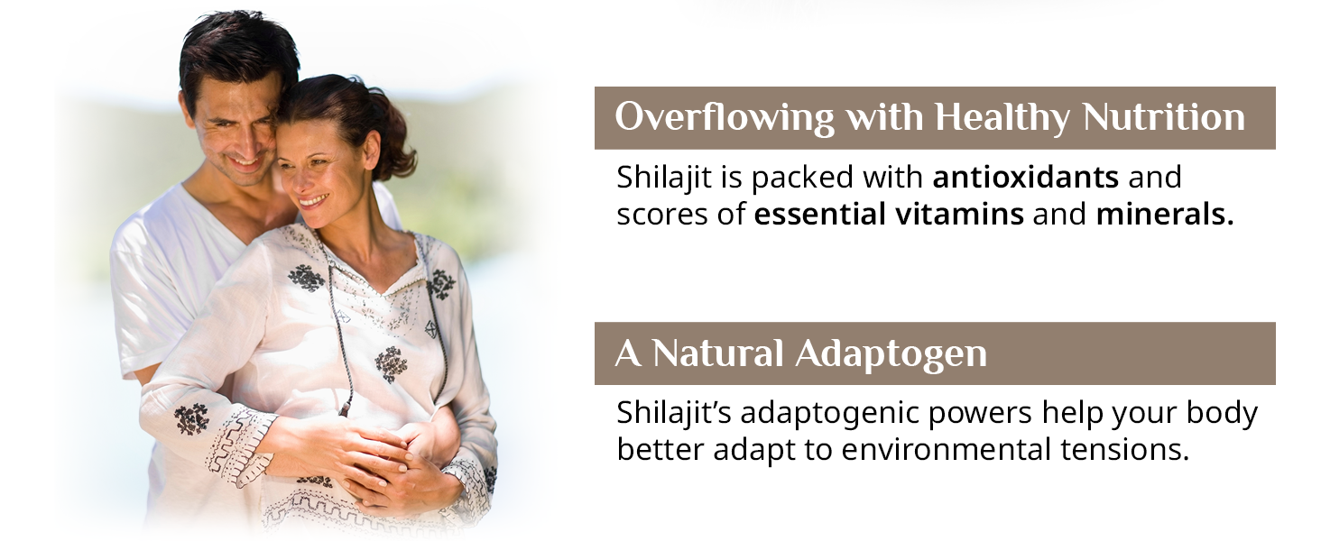 High-potency Shilajit tablets with natural minerals extracted from Himalayan altitude