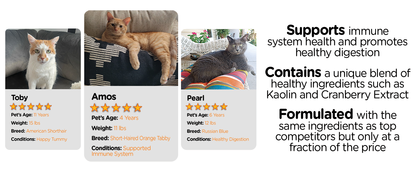 Nutri-Vet Digestive, Pre &amp;amp; Probiotic, Probiotics for Cat, Cat Stomach Problems, Upset Tummy for Cats