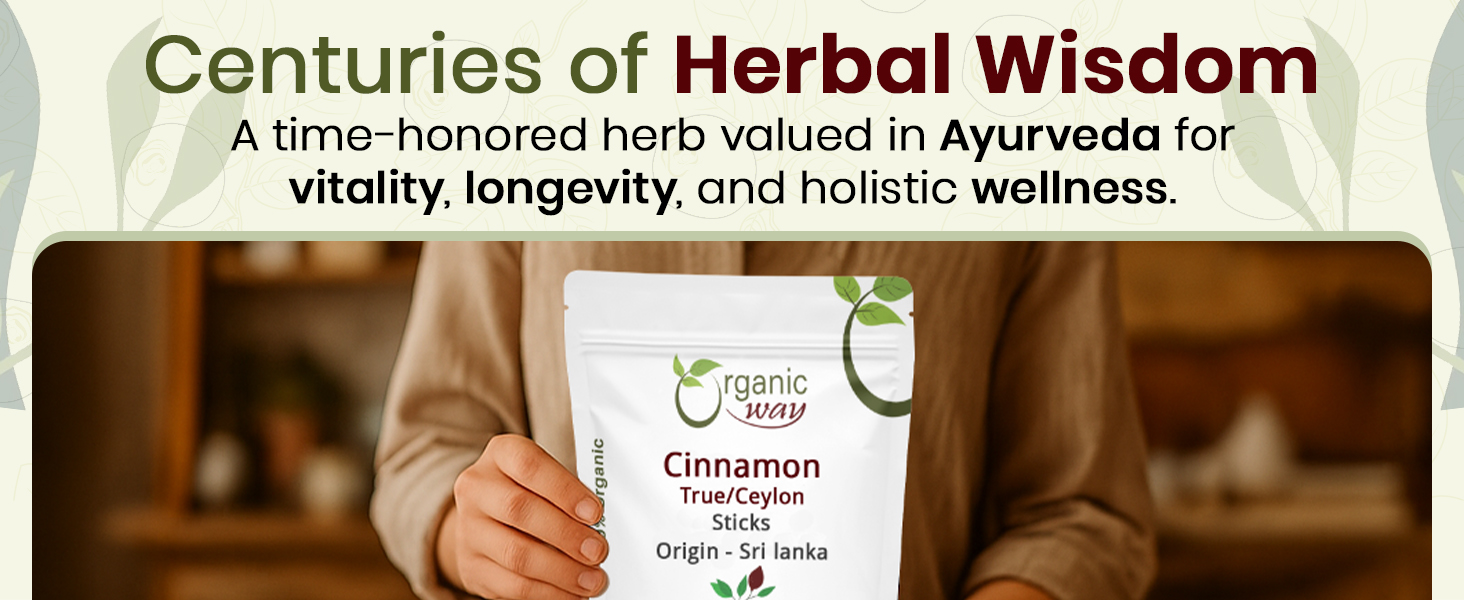 sticks aromatic cinnamon sticks soft cinnamon sticks thin cinnamon sticks alba cinnamon