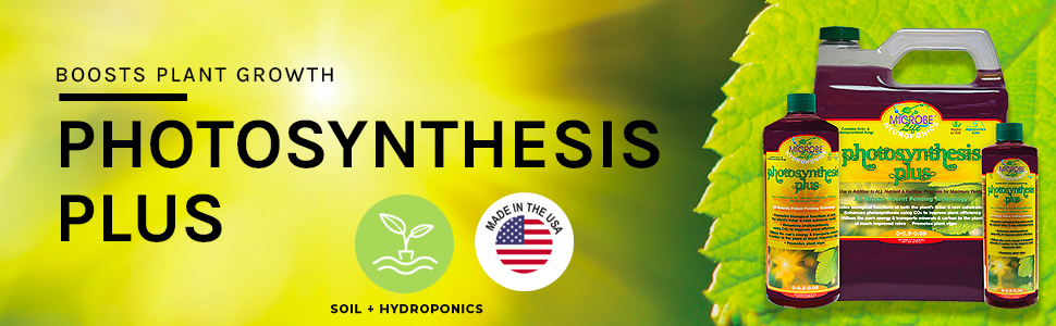 photosynthesis plus banner