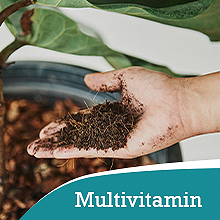 tropical plant fertilizer