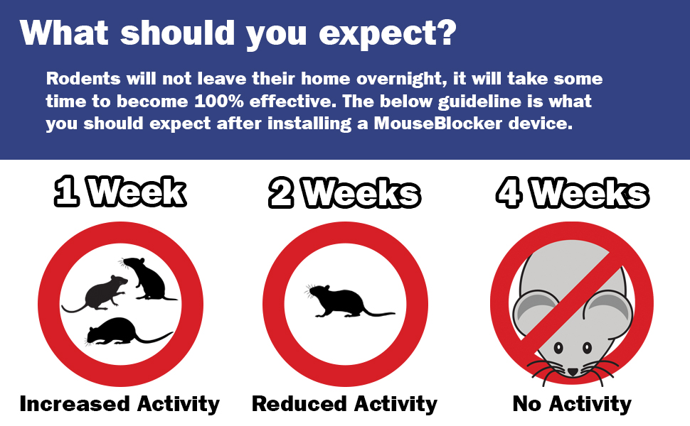 What should you expect with your mouseblocker?